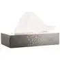 Tissue Zacht Starline 2 Laags  Horecavoordeel.com