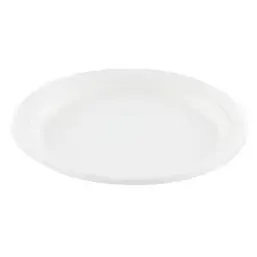 Suikerriet Borden Ø 230mm Horecavoordeel.com