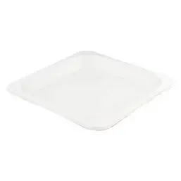 Suikerriet Borden 210 x 210mm Horecavoordeel.com