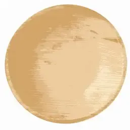 Schalen van Palmblad 300ml "Pure" Rond Ø 175 x 35mm Horecavoordeel.com