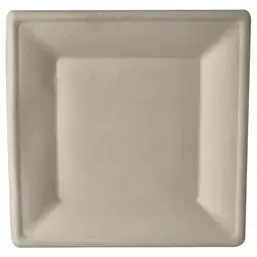 Suikerriet Borden "Pure" Rechthoek "Naturel" 260 x 260mm Horecavoordeel.com