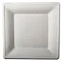 Suikerriet Borden "Pure" Rechthoek Wit 260 x 260mm Horecavoordeel.com