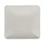 Amuse Schaaltjes van Suikerriet "Pure" Rechthoek Wit 65 x 65mm Horecavoordeel.com
