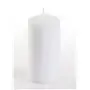 Stompkaarsen Wit Ø 50 x 100mm -horecavoordeel.com-