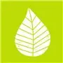 Servetten 3-Laags Groen "Graphic Leaves" 1/4 vouw 250 x 250mm -horecavoordeel.com-