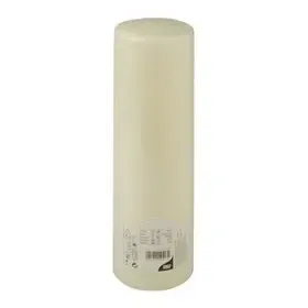 Stompkaarsen Ivoor Ø 80 x 290mm