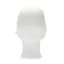 CMT Haarnet - Clip Cap PP Non Woven Wit Maat L 53cm