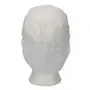 CMT Pet met Klep en Haaropvang Polyester Katoen Kroon Wit Maat L