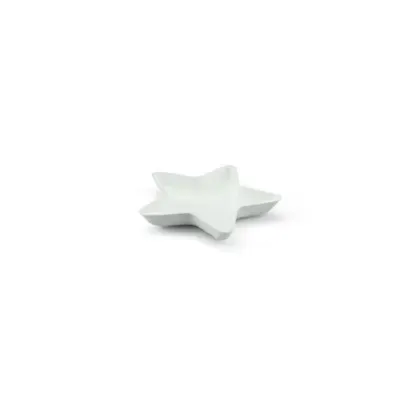 Bagastro Ster  ø 140 x h20 mm -Horecavoordeel.com-