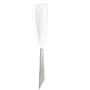 Vikan Hygiene Handschraper met RVS Blad - Wit - 100mm - met Schroefdraad