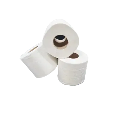 Toiletpapier Traditioneel  Recycled Tissue 2 laags 400 vel Verpakking 10 x 4 rollen -Horecavoordeel.com-