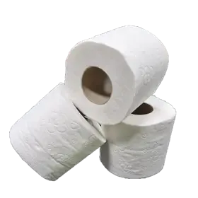 Toiletpapier Tradtitioneel  100% Cellulose 2 laags 200 vel Verpakking 12 x 4 rollen -Horecavoordeel.com-