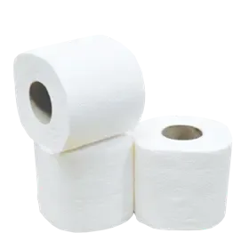 Toiletpapier Traditioneel  100% Cellulose 2 laags 400 vel Verpakking 10 x 4 rollen -Horecavoordeel.com-
