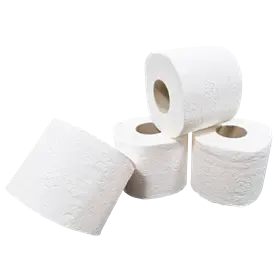 Toiletpapier Traditioneel  100% Cellulose 3 laags 250 vel Verpakking 9 x 8 rollen -Horecavoordeel.com-