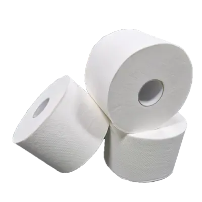 Toiletpapier Compact EU Ecolabel 100% Cellulose 2 laags 100 meter Verpakking 24 rollen  -Horecavoordeel.com-