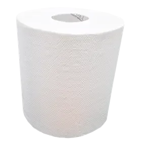 Handdoekrol Midi Centerfeed EU Ecolabel 100% Cellulose  2 laags 19 cm Verpakking 6 x 100 meter -Horecavoordeel.com-