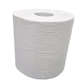 Handdoekrol Midi Centerfeed EU Ecolabel 100% Cellulose 1 laags 19 cm Verpakking 6 x 300 meter -Horecavoordeel.com-
