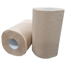 Mini Poetspapier Centerfeed EU Ecolabel 100% Recycled Papier 2 laags 20 cm Verpakking 12 x 60 meter