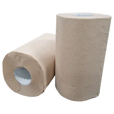 Mini Poetspapier Centerfeed EU Ecolabel 100% Recycled Papier 2 laags 20 cm Verpakking 12 x 60 meter